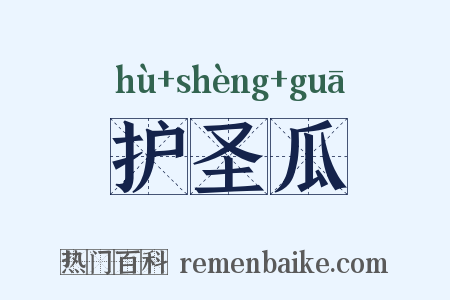 护圣瓜是什么意思的图片